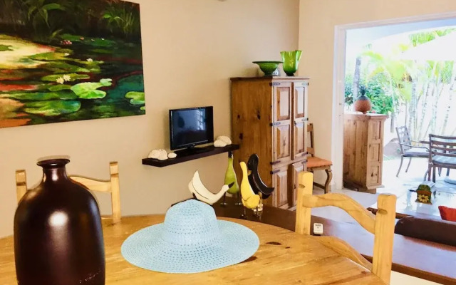 Gorgeous 11 People Comfort Villa With Pool Playacar Phase 2