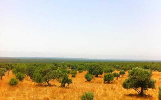 Les Jardins de Villa Maroc