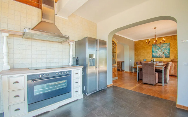 Yoba Horse Farm in Carvoeiro