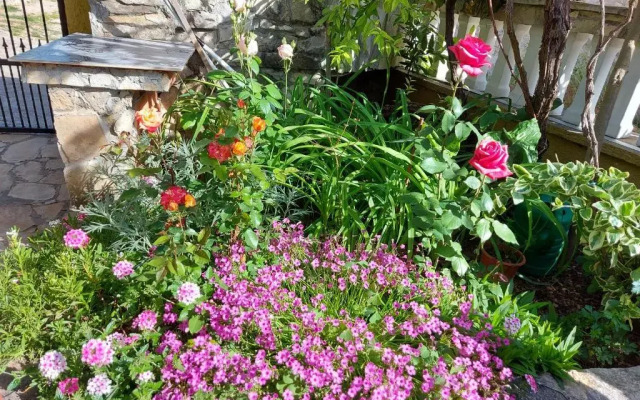 Apartment Balinovaca