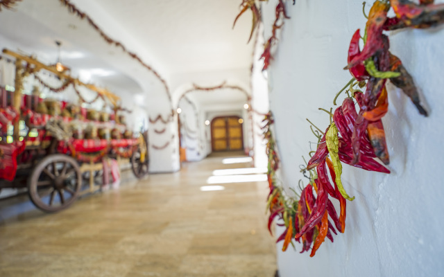 Hotel Aurelius Imparatul Romanilor