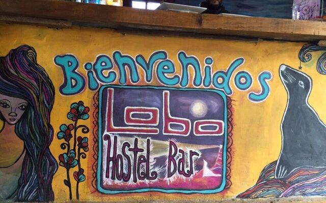 Lobo Hostel Bar