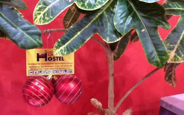 Cherry Hostel