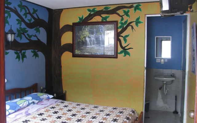 Hostal Transilvania