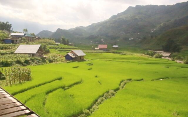 Sapa Terrace View Homestay - Hostel