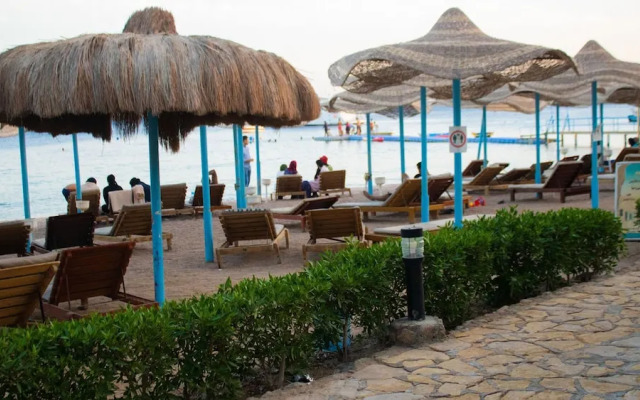 Sharks Bay Hotel & Padi Butterfly