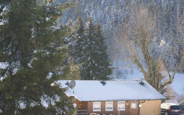 Hotel Schwarzwaldgasthof Zur Traube