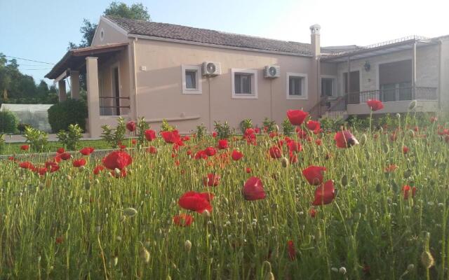 Studio Spyros