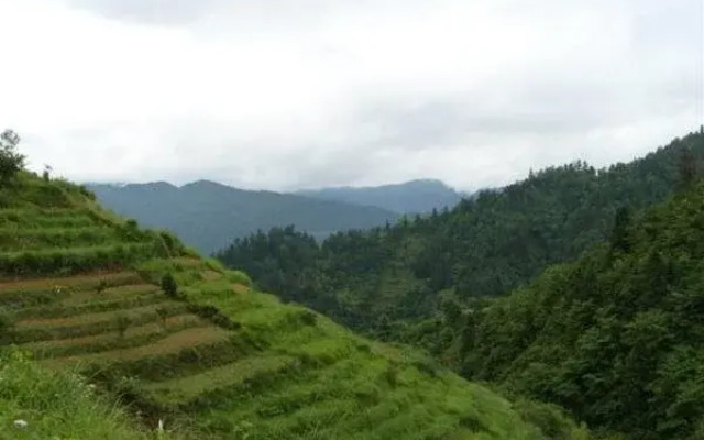 Zhen Chen Resort