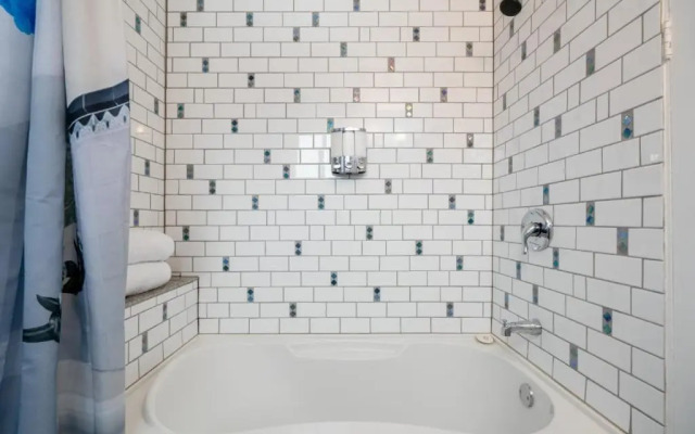 Triceratops Landing I Fire Place I Games I Netflix