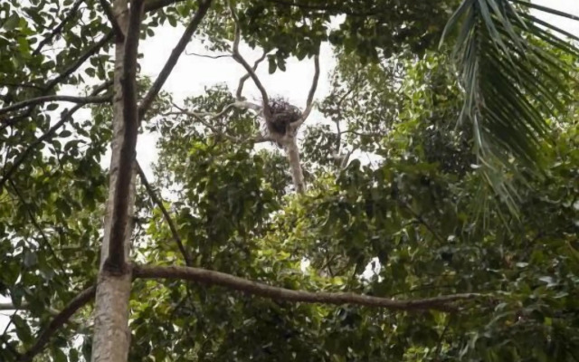 Big Tree Boutique Hotel