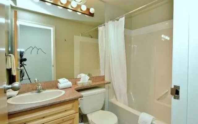 Timberline Lodges - Silver by FLC