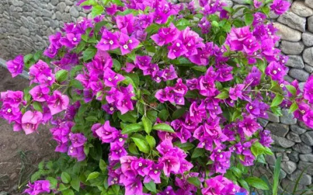 Le Pavillon Éternel Hotel (Tiantai Shan Big Waterfall)