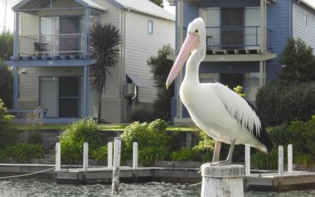 Captains Cove Waterfront Apartments