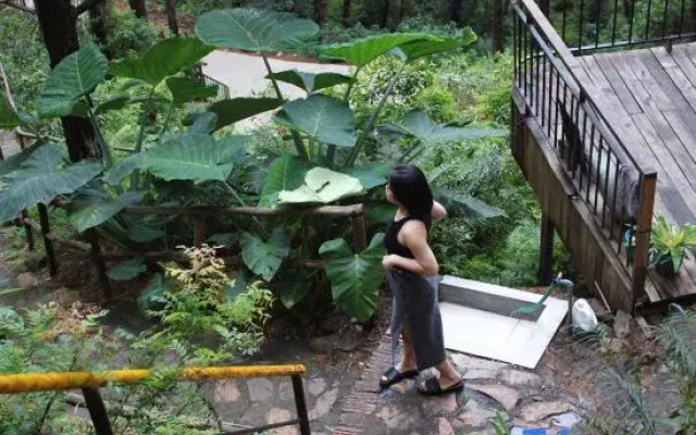 DeBay Retreat - Little Da Lat Chill Villa