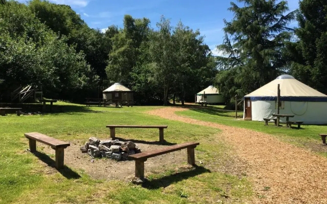 Yurtcamp Devon