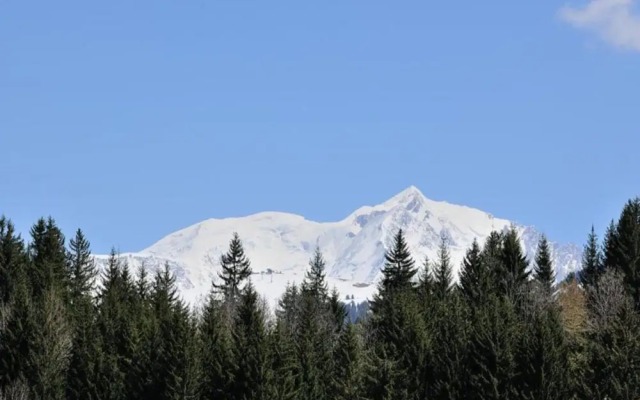 Stylish Chalet in Charming Megeve