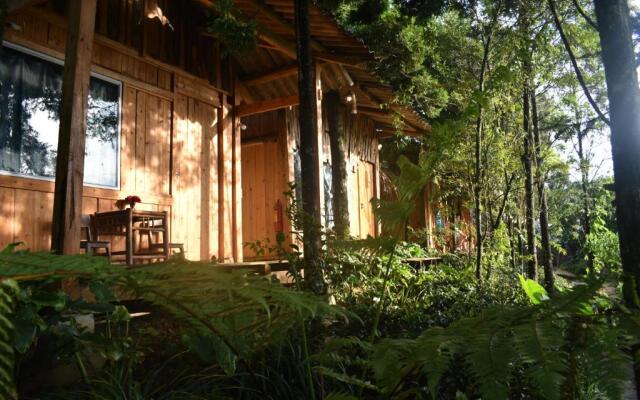 Sapa Jungle Pub  Homestay