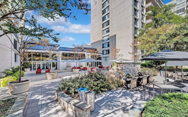 Wonderful Apt Crystal City with Gym