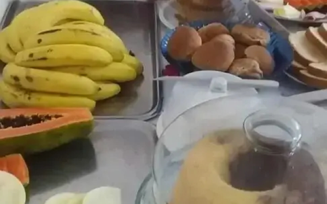 Pousada Samambaia