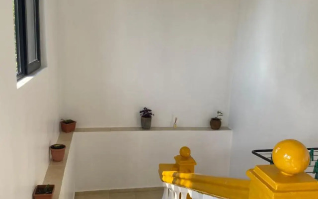 Maguli Home Gonio