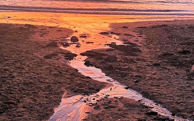 Ocean Backpackers