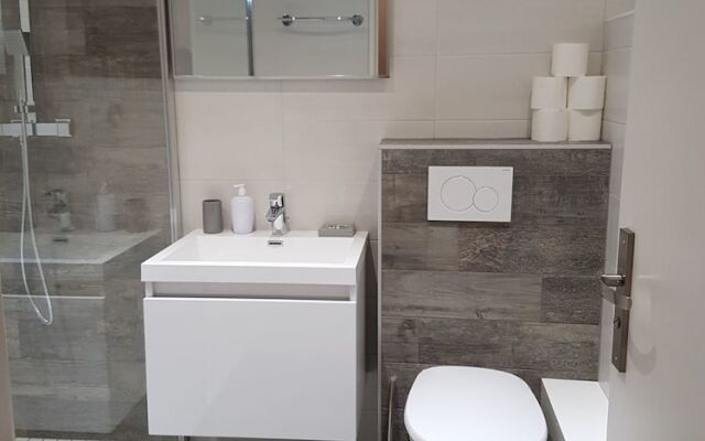 Executive Studio near Basel 33