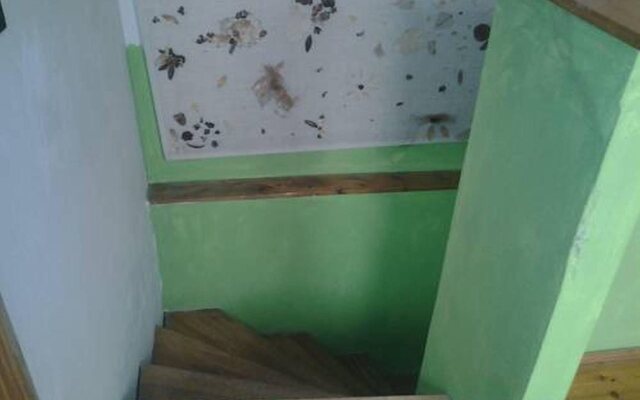 Ace Hostel