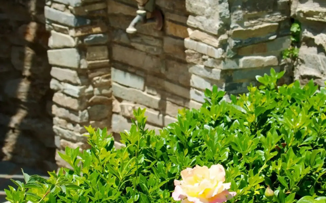 Villa View Studios