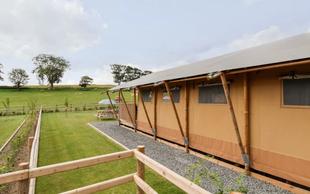 Mad Molly Lodge