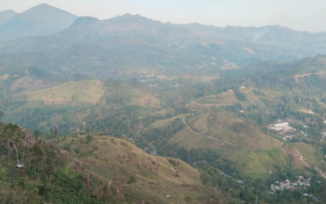 Nature valley homestay