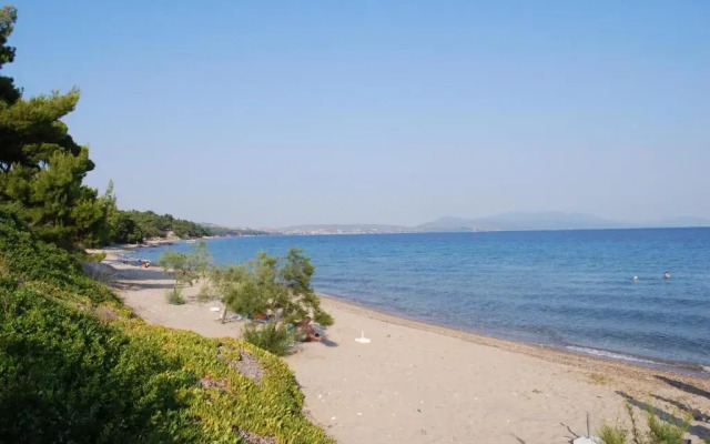 Amari Hotel