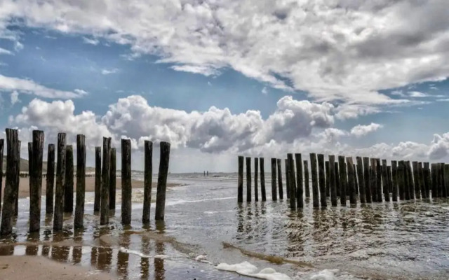 Wifi and Golden Beaches; Home
