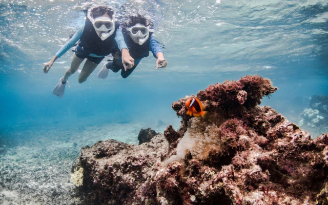 Allamanda Imgya Coral Village