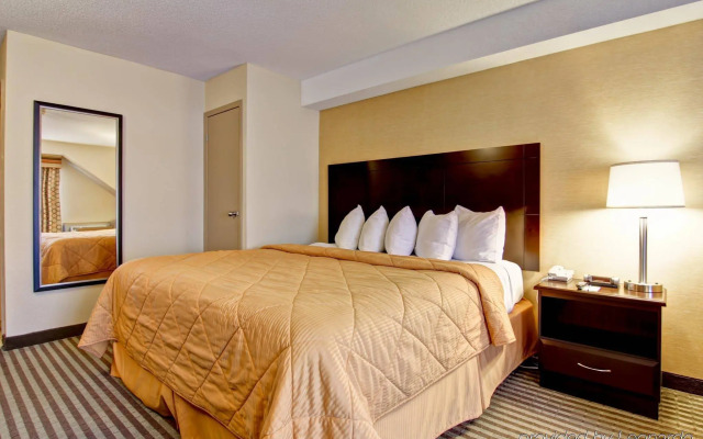 Comfort Inn East