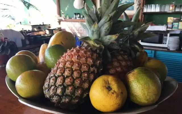 Bella Vista Eco Experience