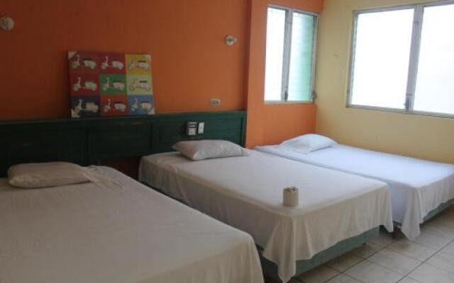 Hotel Green Monkey - Hostel