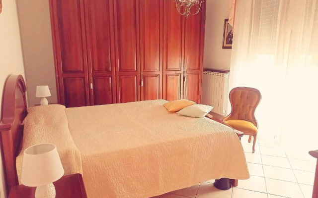Il Tulipano