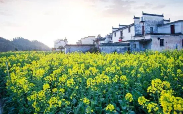 Wuyuan waiting for your homestay