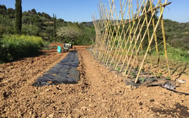 Podere Baloo Suvereto