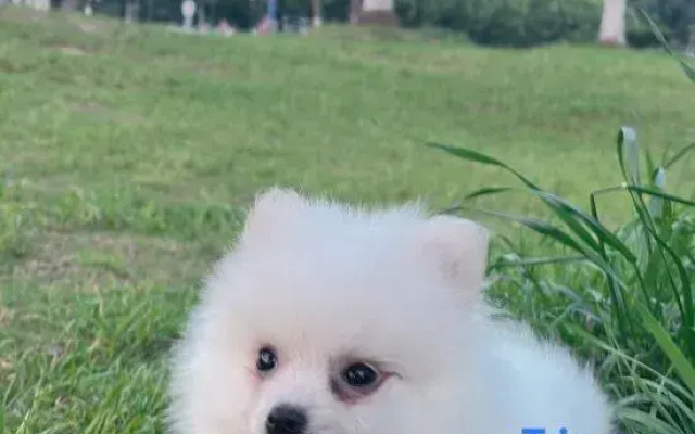 Taoshe Art Hotel (Jingdezhen People's Square)