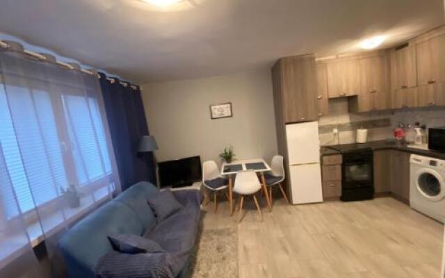 Apartament Centrum Panska