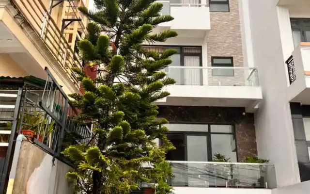 Q's House Dalat