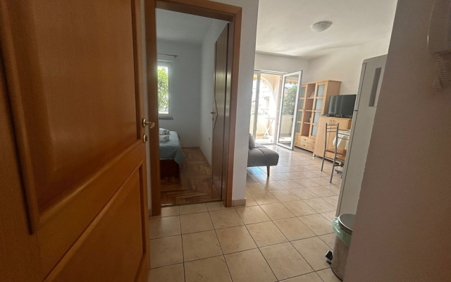 Apartment Brdar