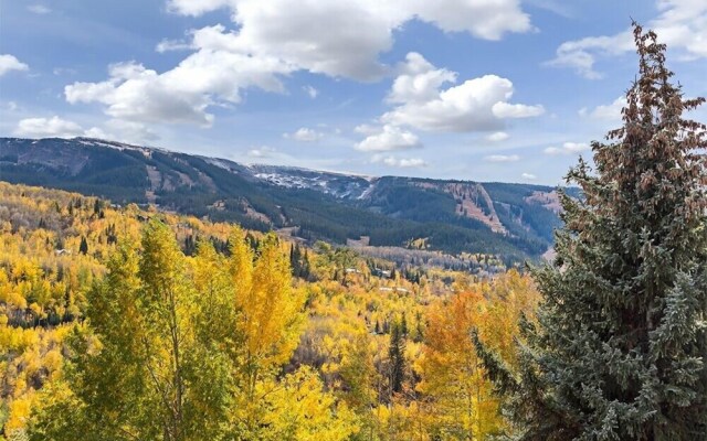 Prime Snowmass Retreat Ski Bridge, Walk to Village - 29C by RedAwning