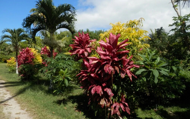 Sigasiga Sands Boutique Bungalows