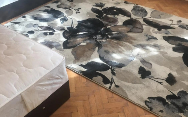 Stylish spacious flat