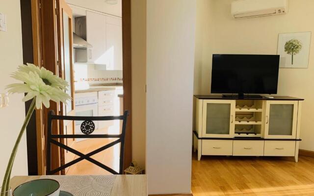 Apartamentos Valdesierra II