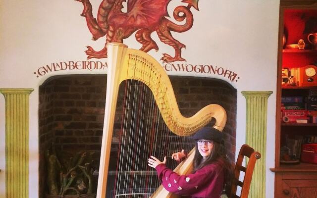 Cwmllechwedd Fawr