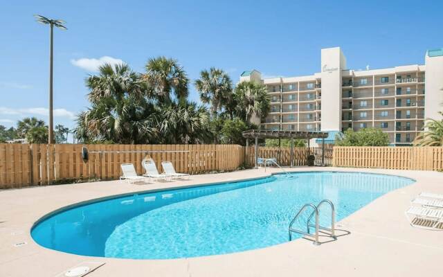 Wind Drift South East 404